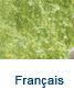 Fran&ccedil;ais
